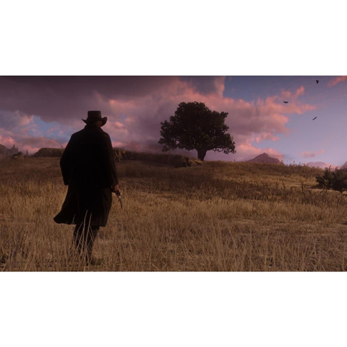 Red Dead Redemption II (2) Xbox One Es