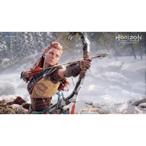 Horizon Forbidden West PS4/PS5 Pl Usato