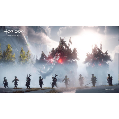 HORIZON FORBIDDEN WEST PS4/PS5 PL