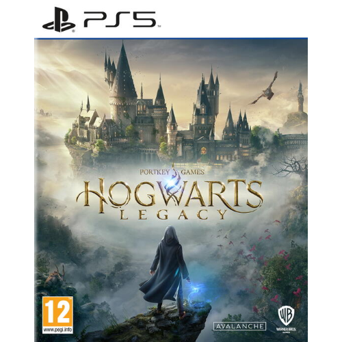 Hogwarts Legacy PS5 UK Usato