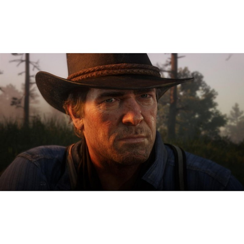 Red Dead Redemption 2 PS4 ES Usato2