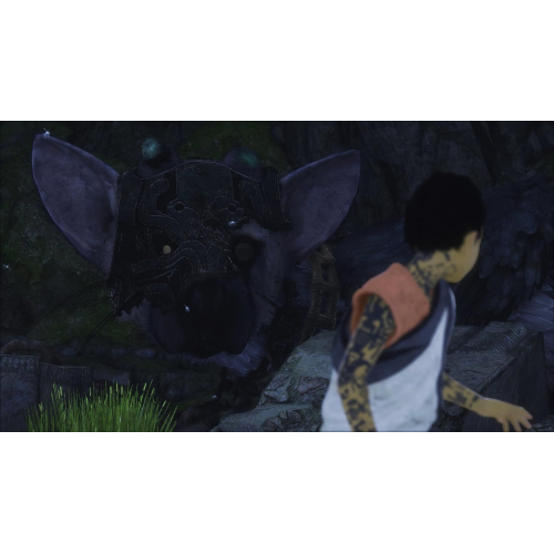 THE LAST GUARDIAN PS4 PL