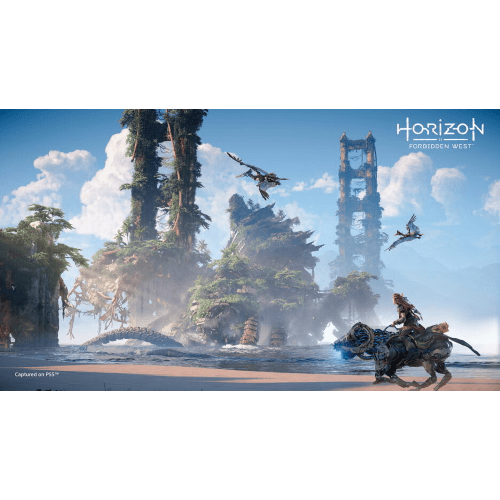 Horizon Forbidden West PS4/PS5 FR