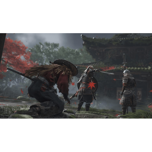 Ghost Of Tsushima PS4 ES Usato2